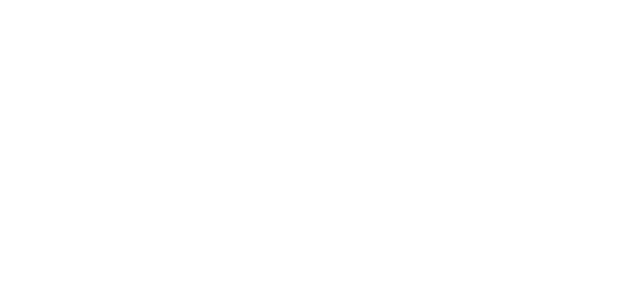 Logo-TN-Lid-van-TN_diap-M.png